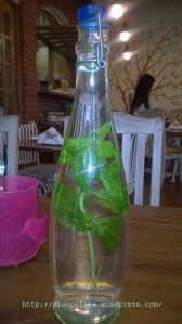 Mint Flavoured Bottled Water